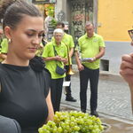 Delitev sladkega grozdja udeležencem Trstenjakove trgatve.